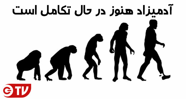 تکامل انسان ها