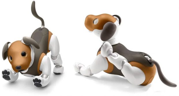 سگ ربات سونی آیبو