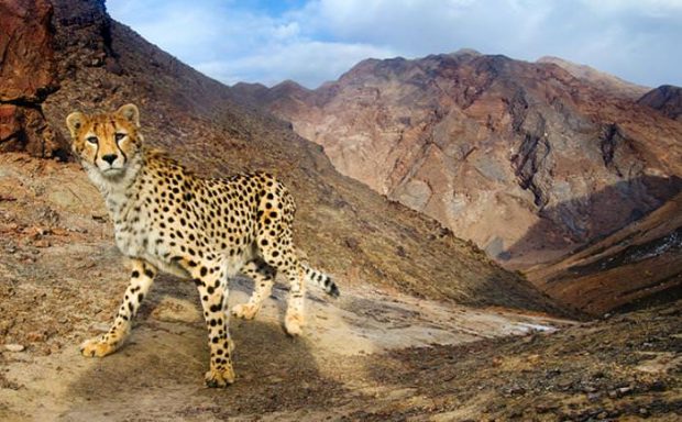 بهترین پارک های ملی ایران