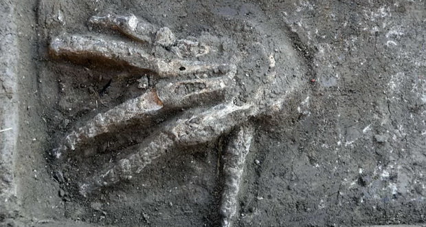 دست های بریده چند هزار ساله، اکتشافی وحشتناک از دوران مصر باستان
