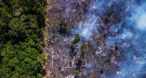 آتش سوزی جنگل های آمازون به سطح جدیدی از بحران رسید