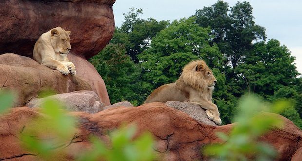 بزرگ ترین باغ وحش های جهان