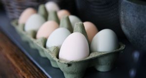 مصرف روزانه تخم مرغ سلامتی را به خطر نمی‌اندازد