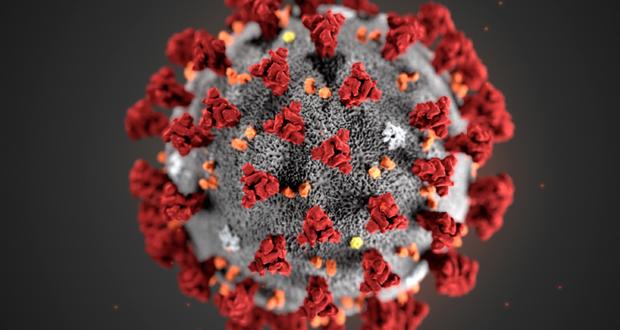هشدار دانشمندان از همه‌گیر شدن کروناویروس چین در جهان!