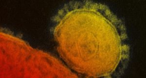 سازمان بهداشت جهانی اسم رسمی ویروس کرونا جدید را اعلام کرد!