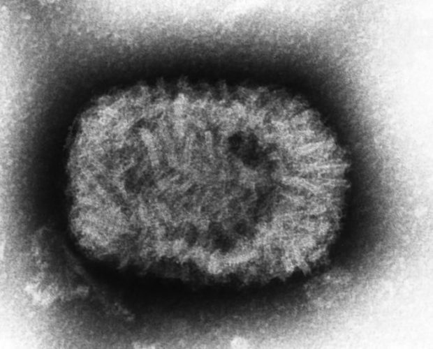 مرگبارترین ویروسها