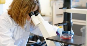 شایعه ساخت ویروس کرونا در آزمایشگاه چقدر صحت دارد؟