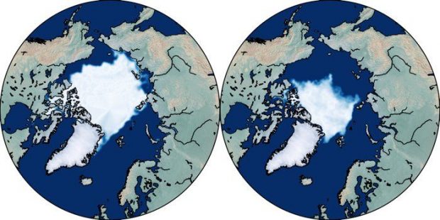 یخ های قطب شمال تا سال ۲۰۵۰ کاملا از بین می‌روند!