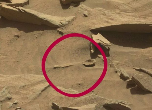 ماجرای کشف استخوان مریخی در عکس‌های کاوشگر ناسا چیست؟