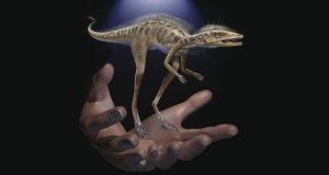 کشف بقایای یک دایناسور مینیاتوری دانشمندان را شگفت‌زده کرد