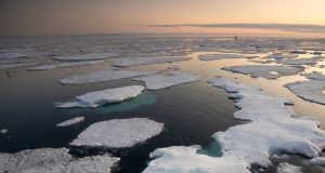 کشف مواد شیمیایی جاودانه در قطب شمال دانشمندان را نگران کرده است
