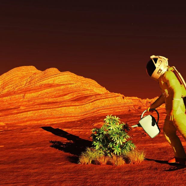 کاشتن سبزیجات در مریخ