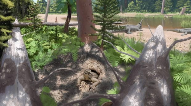 کشف یک فسیل باستانی عجیب از دوران ماقبل دایناسورها