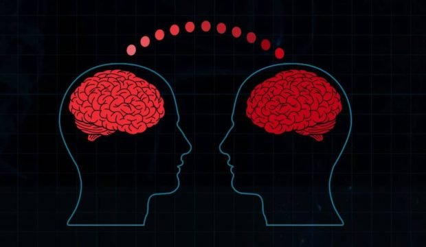 اتصال مغز انسان ها به هم برای اولین بار ممکن شد