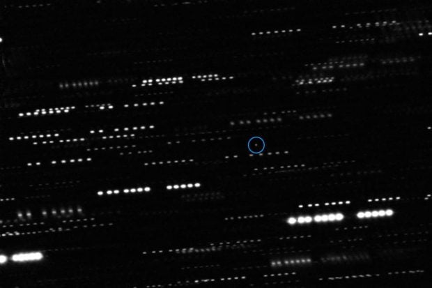 استاد دانشگاه هاروارد می‌گوید که سیارک مرموز اومواموا یک تکنولوژی فرازمینی است