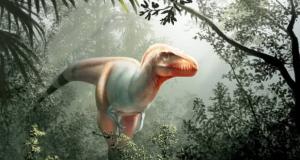 10 مورد از جدیدترین اکتشافات دنیای دایناسورها