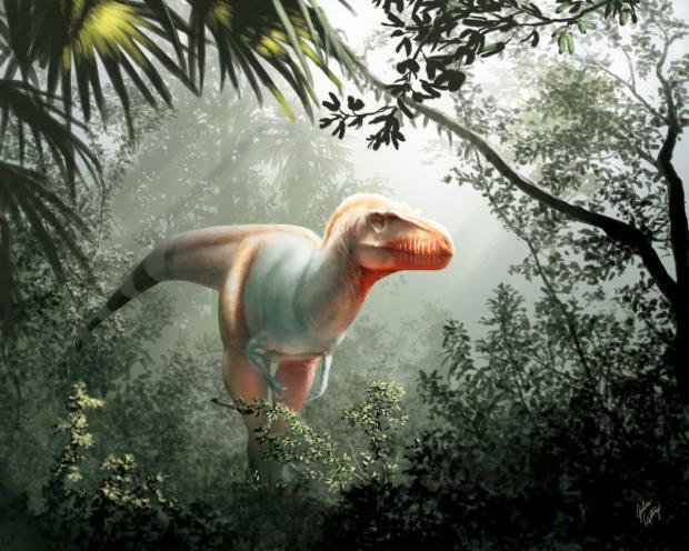 10 مورد از جدیدترین اکتشافات دنیای دایناسورها 