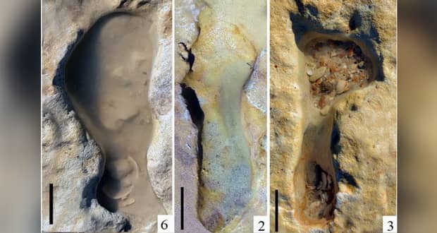کشف ردپای 100 هزار ساله بچه نئاندرتال ها در اسپانیا خبرساز شد