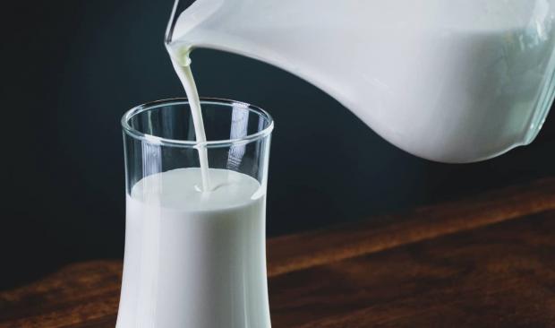 نوشیدن شیر پاستوریزه طول عمر را کم می‌کند