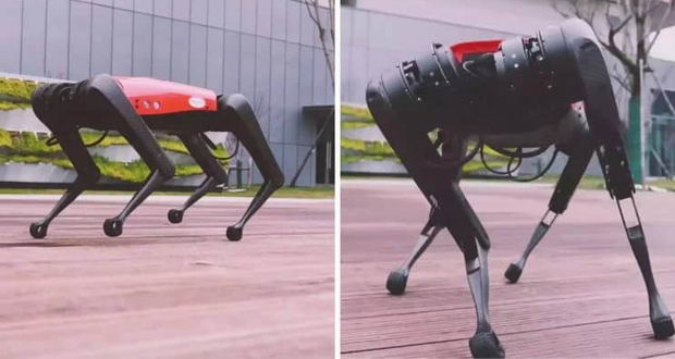 سگ رباتیک آلفاداگ