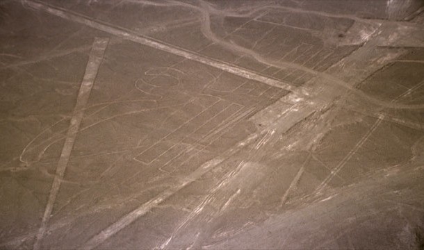 ۲- خطوط Nazca