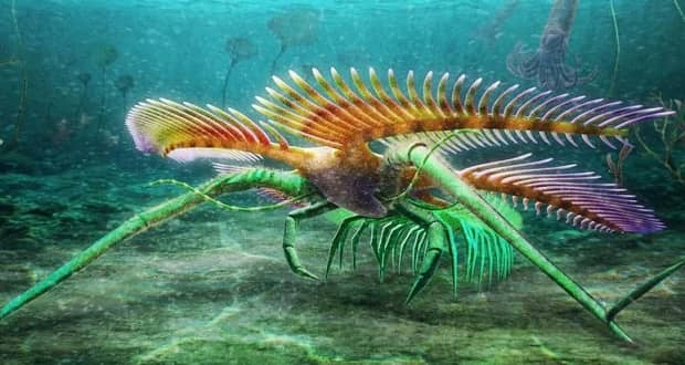 عجیب ترین جانور آبی باستانی جهان