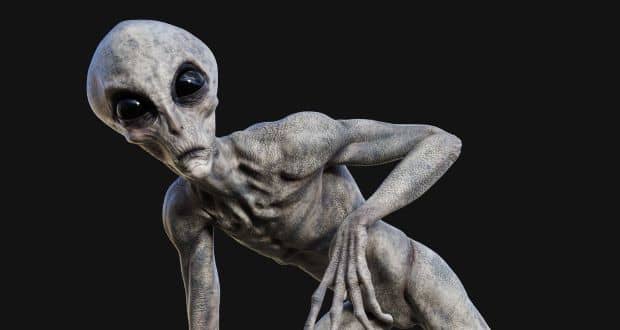 آدم فضایی های «بیگانه خاکستری» احتمالا با DNA انسان‌ها ساخته شده‌اند