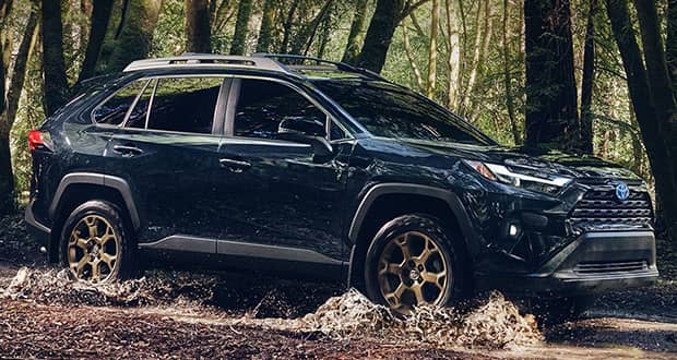 تویوتا RAV4 هیبرید Woodland