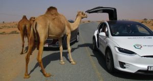 خودروهای برقی در امارات