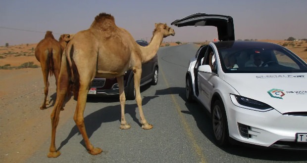 خودروهای برقی در امارات