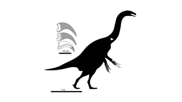 فسیل دایناسور ژاپن