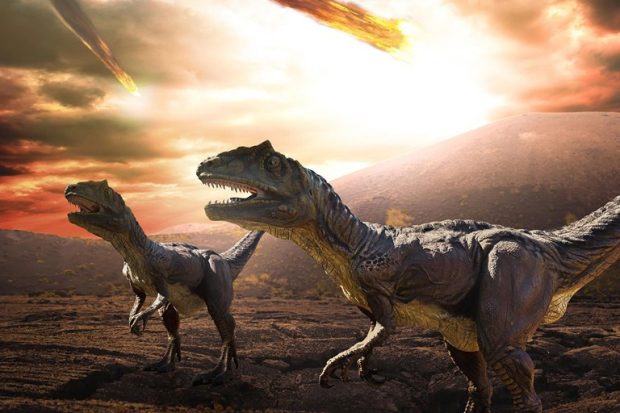آیا تئوری پارک ژوراسیک و زنده کردن دوباره‌ی دایناسورها ممکن است؟