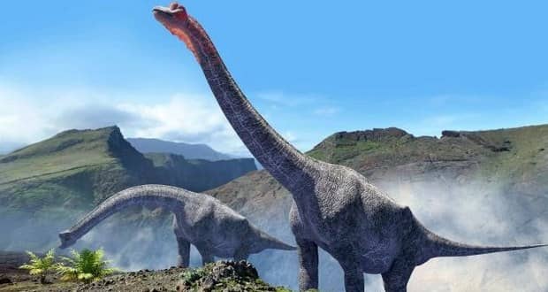 اسکلت بزرگ ترین دایناسور