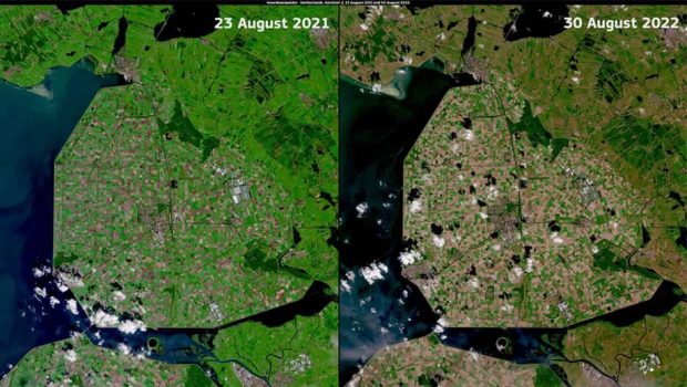 هلند درگیر خشکسالی بی سابقه اروپا