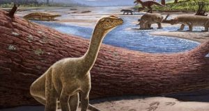قدیمی‌ترین دایناسور آفریقایی