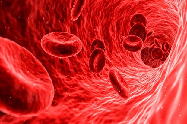کشف یک گروه خونی جدید در انسان