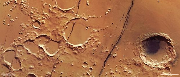 گوداله سربروس مریخ
