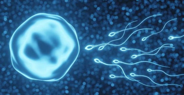 خبر شوکه‌کننده درباره میزان اسپرم مردان
