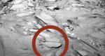 سنگی شبیه ماهی در مریخ