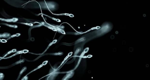 کاهش اسپرم مردان