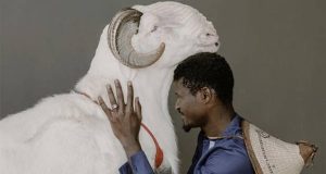 لادوم، گران ترین گوسفند جهان