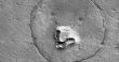 خرس در سیاره مریخ