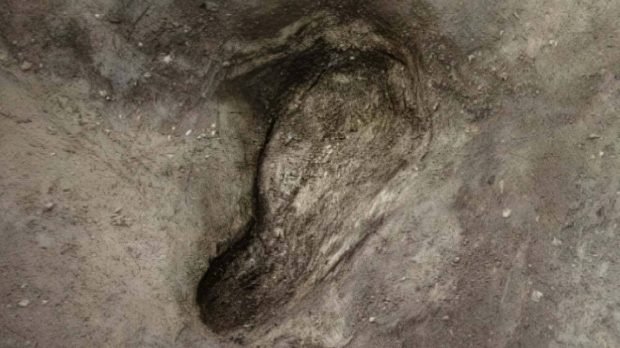 قدیمی‌ ترین ردپای انسان در اروپا کشف شد