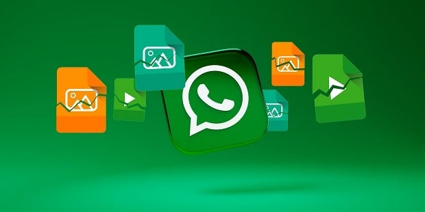 Receive files from WhatsApp