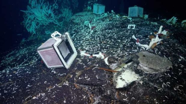 کشف یک جهان مخفی زیر آب