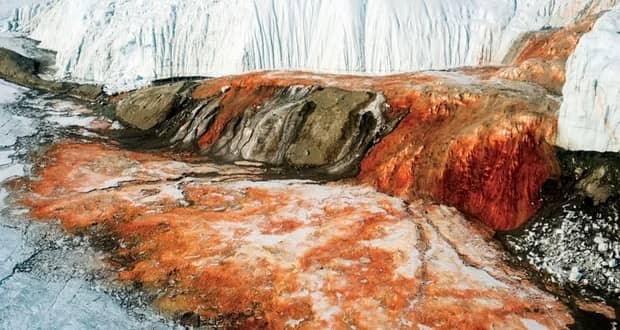 یخچال خونین قطب جنوب