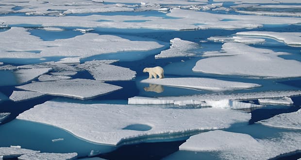 یخ‌های قطب جنوب