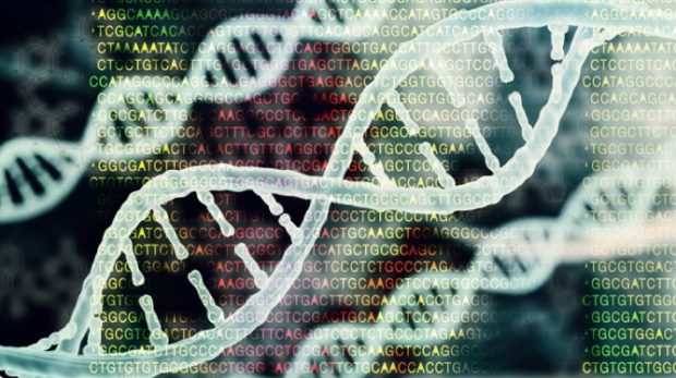 کشف اسرار تاریخ انسان با DNA شپش
