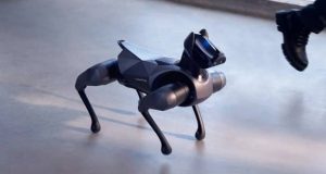 سگ رباتی شیائومی