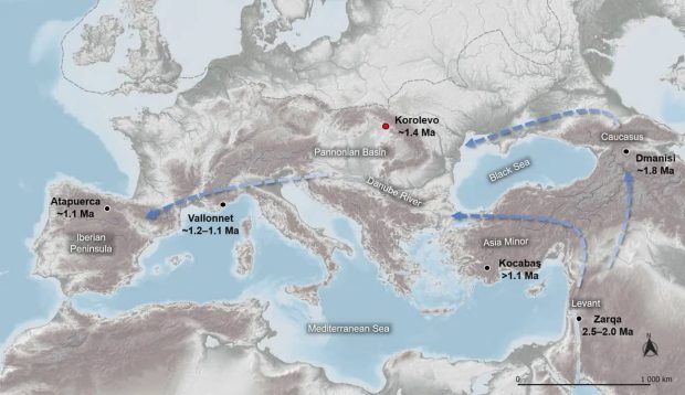 مسیر احتمالی مهاجرت homo erectus